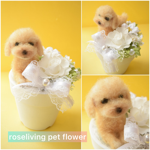 羊毛フェルトのペットフラワー 全犬種（ドール1個と花1輪