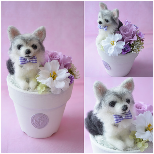 羊毛フェルトのペットフラワー 全犬種(ドール1個と花1輪 羊毛フェルトのペットフラワー 全犬種(ドール1個と花1輪