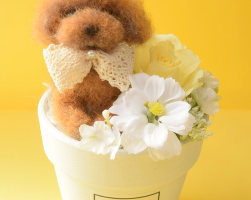 ono　クリップペット　羊毛フェルト Amazon.co.jp: ハマナカ フェルト羊毛キット ふわふわ羊毛で