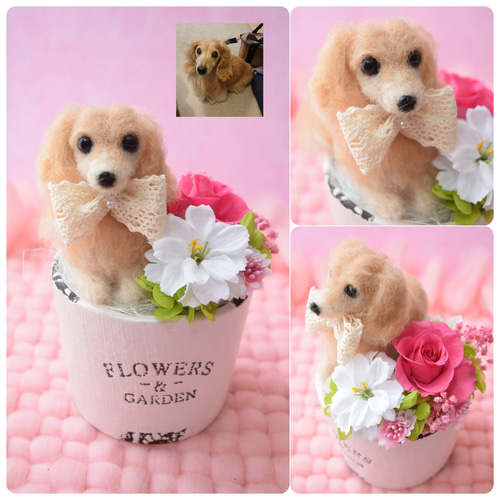羊毛フェルトのペットフラワー 全犬種（ドール1個と花1輪
