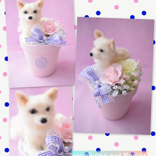 羊毛フェルト　オーダーフラワーバスケット　ワンちゃん 羊毛フェルト オーダーフラワーバスケット ワンちゃん