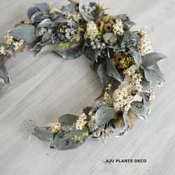 Dried flower Wreath ～ CRESCENT  ～　24x23 2枚目の画像
