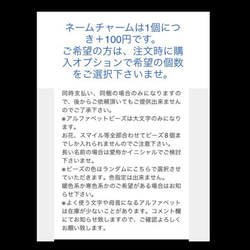 人気❤︎レア【送料無料】♡ うちの子 わんこチャーム　ポメラニアン〈黒〉のチャーム♡キーホルダー 11枚目の画像