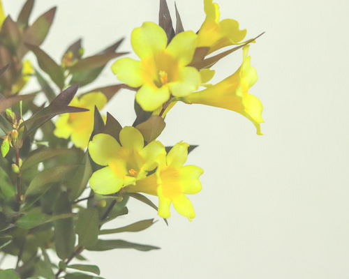 a003069a1b4ec4197535f33992e7c7