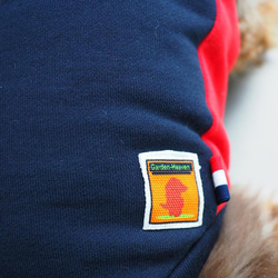 犬服　ダックスちゃんの厚手のトレーナ生地でお作りしたフード付タンクトップ　ネイビー 4枚目の画像