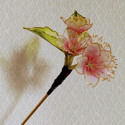 桜   ～天人富士～ 5枚目の画像