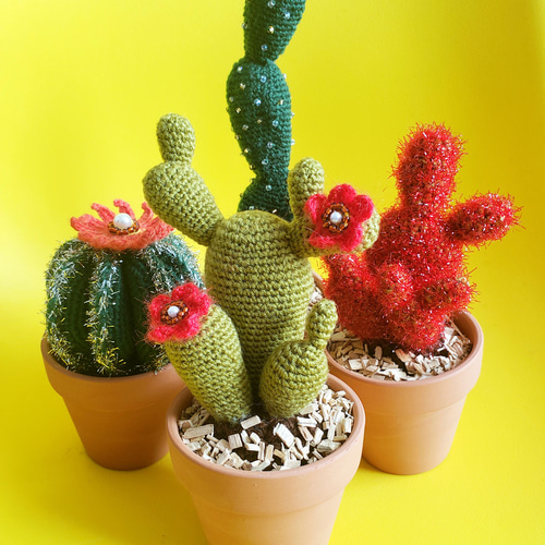 サボテンのあみぐるみ その他置物 ラヴィ 通販 13591540｜Creema