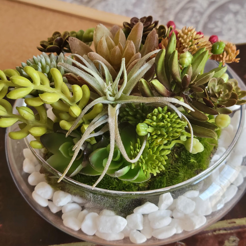 フェイク インテリアグリーン ガラスポット アレンジ 》 多肉植物