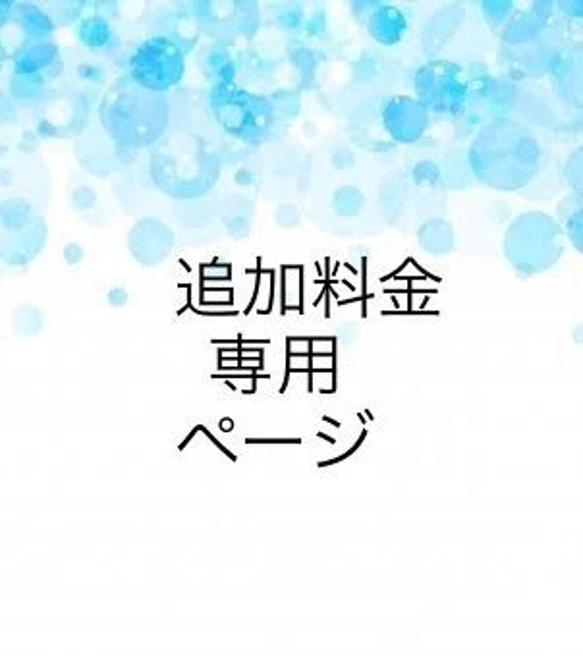 【追加料金】送料不足のお客様へ 1枚目の画像