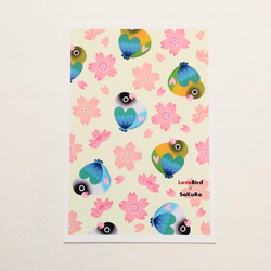 ポストカード　3種類セット　～桜ボタンインコ　byあとりえみれてchinatsu～ 3枚目の画像