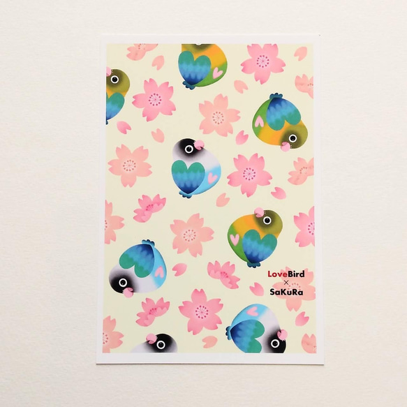 ポストカード　3種類セット　～桜ボタンインコ　byあとりえみれてchinatsu～ 3枚目の画像