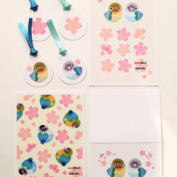 ポストカード　3種類セット　～桜ボタンインコ　byあとりえみれてchinatsu～ 2枚目の画像