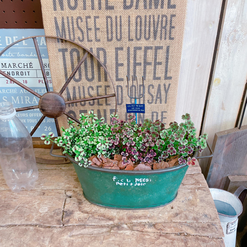 クローバー様　キキのオルゴール＋ジジのウォーターガーデン 楽天市場】CLOVER(クローバー) ウォーターカン L ゴールド/チャコール