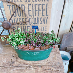 クローバー様　キキのオルゴール＋ジジのウォーターガーデン ガーデンプール | オリエンタルホテル 沖縄リゾート&スパ【公式