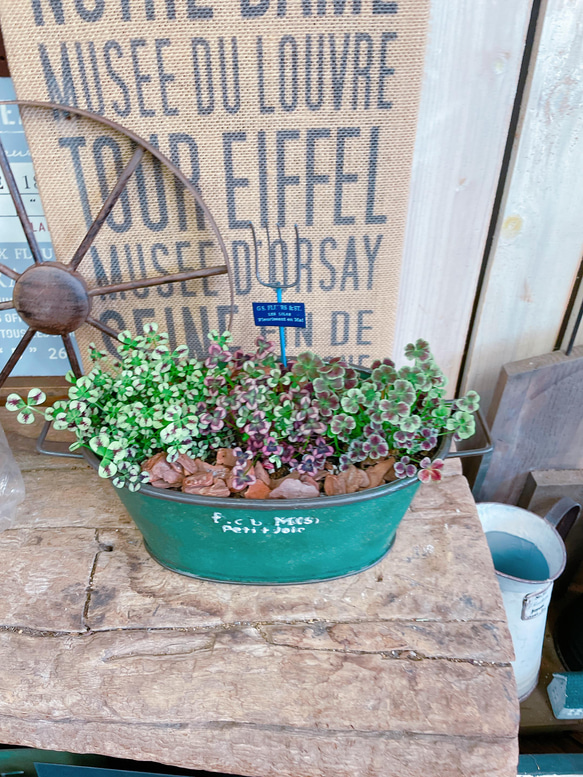 可愛くてカッコイイ テラコッタ ブーツ 鉢【2つセット】⁎。❀ * (´﹀｀) 可愛くてカッコイイ テラコッタ ブーツ 鉢【2つセット