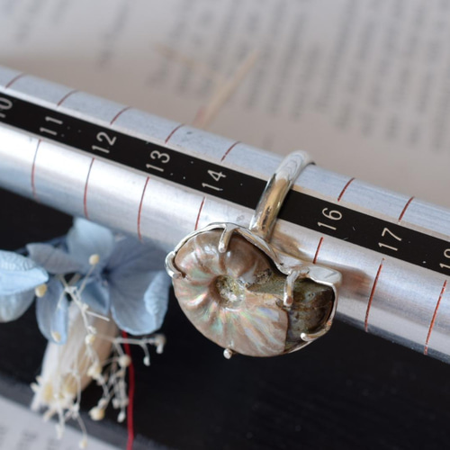 虹色アンモナイト化石のリング（15号） 指輪・リング reboot 通販