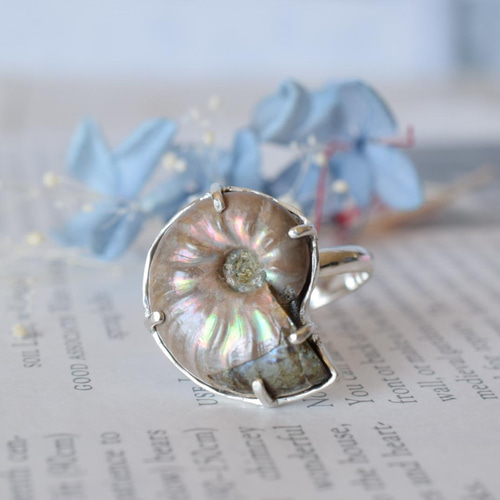 超希少 美品✨ ロエベ アンモナイト アナグラム ダイス チャーム 金具 虹色 超希少 美品✨ ロエベ アンモナイト アナグラム ダイス チャーム
