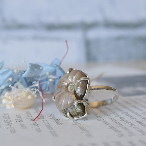 超希少 美品✨ ロエベ アンモナイト アナグラム ダイス チャーム 金具 虹色 71YaaaRAw+L._SY350_QL65_.jpg