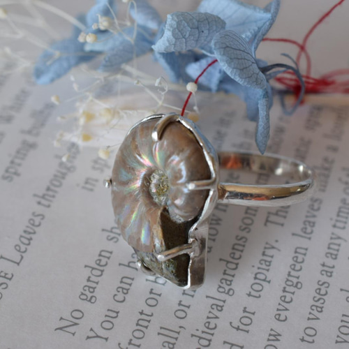 超希少 美品✨ ロエベ アンモナイト アナグラム ダイス チャーム 金具 虹色 超美品 ロエベ スナフジタ コラボ アナグラム キーリング