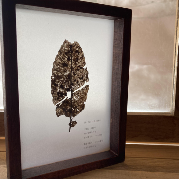 ガラスのドライ植物標本【枯葉】no.1 4枚目の画像