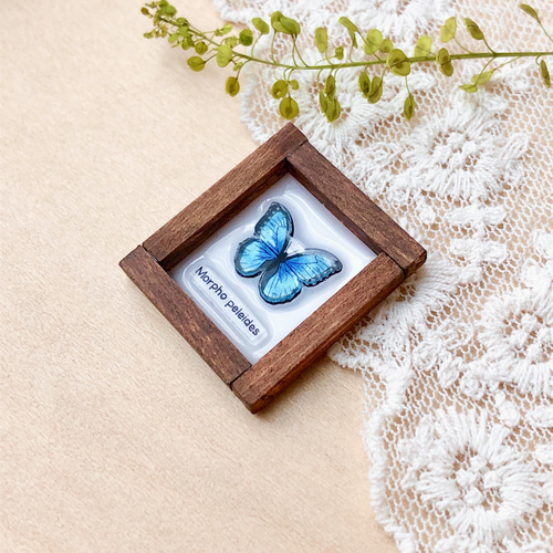 イーマリーちゃん♡ おはなワンピ とちょうちょブローチ セット イーマリーちゃん♡ おはなワンピ とちょうちょブローチ セット - メルカリ