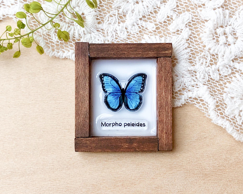 イーマリーちゃん♡ おはなワンピ とちょうちょブローチ セット イーマリーちゃん♡ おはなワンピ とちょうちょブローチ セット - メルカリ