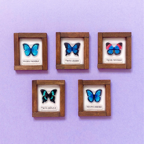 イーマリーちゃん♡ おはなワンピ とちょうちょブローチ セット