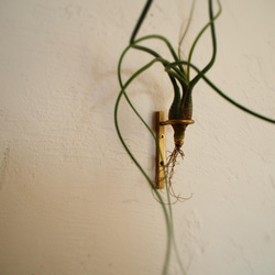 試験管一輪挿し壁付真鍮150 5枚目の画像