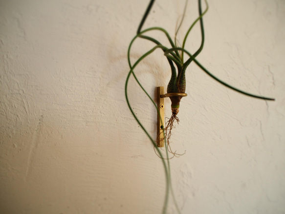 試験管一輪挿し壁付真鍮150 5枚目の画像