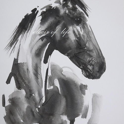 鹿毛の馬のポートレート2022(墨絵、水彩画用紙、34cm