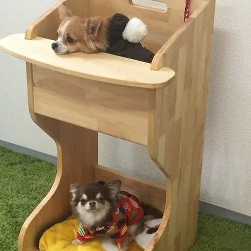 わんチェアー　犬用チェア 楽天市場】わんチェアー（犬用イス） : Bellos
