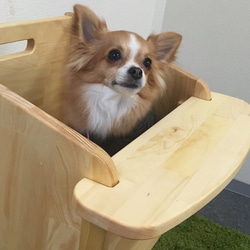 テーブル付ワンちゃん専用椅子　DogChair【ナチュラル】 6枚目の画像