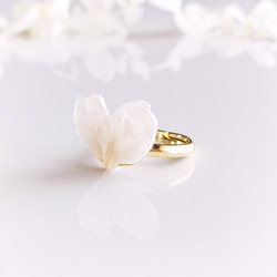【受注制作】Everpink Sakura. 本物のお花　 桜の花びらのハートリング フリーサイズ ソメイヨシノ 14枚目の画像