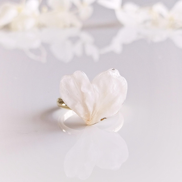 【受注制作】Everpink Sakura. 本物のお花　 桜の花びらのハートリング フリーサイズ ソメイヨシノ 5枚目の画像