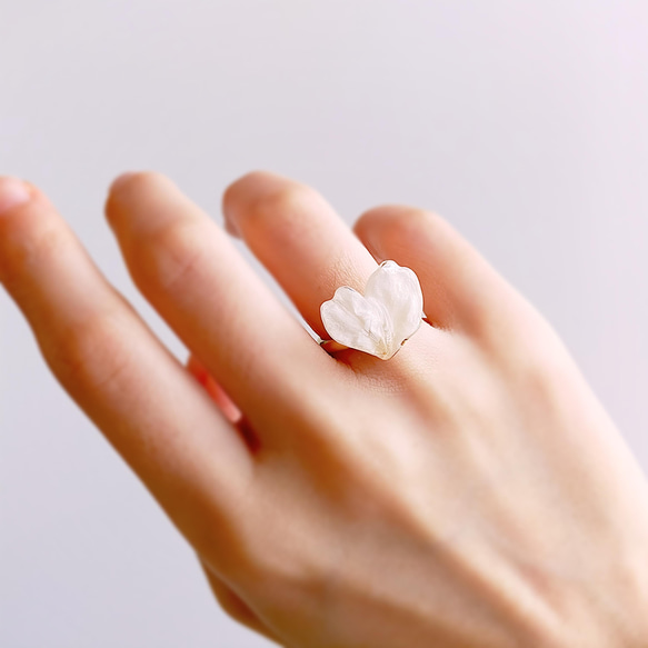 【受注制作】Everpink Sakura. 本物のお花　 桜の花びらのハートリング フリーサイズ ソメイヨシノ 9枚目の画像
