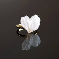 【受注制作】Everpink Sakura. 本物のお花　 桜の花びらのハートリング フリーサイズ ソメイヨシノ 3枚目の画像
