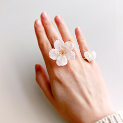 【受注制作】Everpink Sakura. 本物のお花　 桜の花びらのハートリング フリーサイズ ソメイヨシノ 10枚目の画像