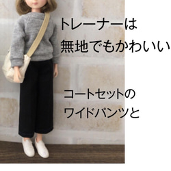 7R★作りやすい 型紙全部セット★22cmドールサイズ★33点★ 20枚目の画像