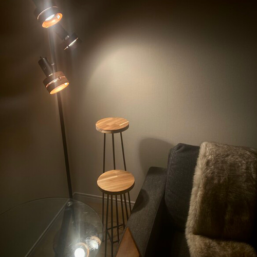 サイドテーブル スタンド 飾り棚 置物台 ガラス 金属 シンプル モダン レトロ L】シンプルでスリムなアルコールスタンド アイアンシェルフ 植物棚