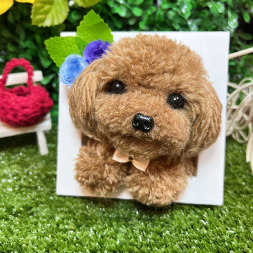 ⭐︎壁掛けトイプードル ♪ 羊毛フェルト 犬ぽんぽん⭐︎ ぬいぐるみ