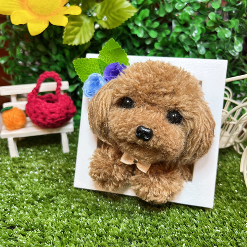 羊毛フェルト　オーダー　トイプードル　らんぼー君様 羊毛フェルトトイプードル