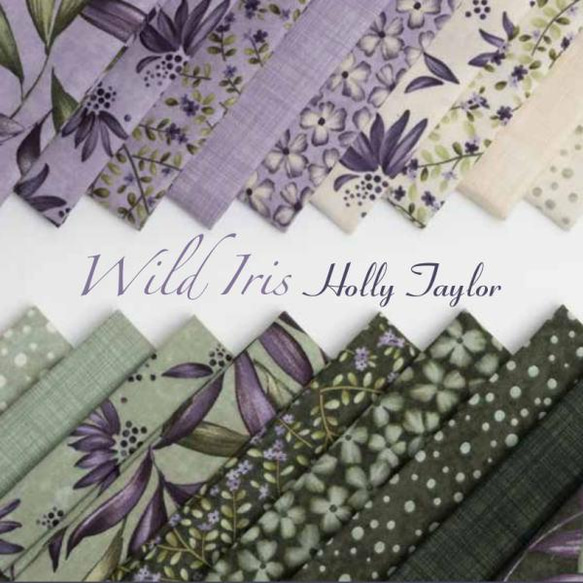 「Wild Iris」moda Charm Pack (カットクロス42枚)  Holly Tayler 3枚目の画像