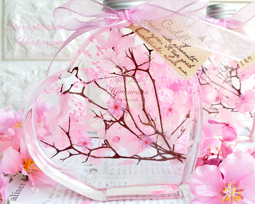 2eed74aeed0afc08cfb47017b7b546