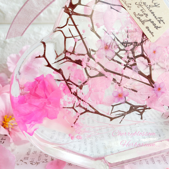 桜　ハーバリウム　₊✼̥*ˈ インテリア　プレゼント　ギフト　　春　贈り物　母の日　カーネーション　ハーバリウム 2枚目の画像