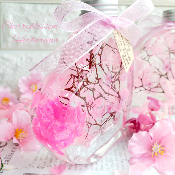 桜　ハーバリウム　₊✼̥*ˈ インテリア　プレゼント　ギフト　　春　贈り物　母の日　カーネーション　ハーバリウム 3枚目の画像