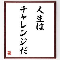 金言名句と人生訓 71EZfIycOmL._UF350,350_QL50_.jpg