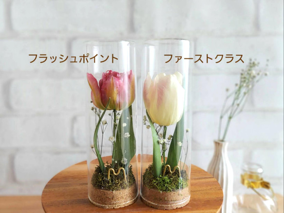 贈り物に◎Fivaci{ﾌｨﾊﾞｰﾁ}チューリップのボトルflower《ドライフラワー◎インテリアや贈り物に◎植物標本》 2枚目の画像