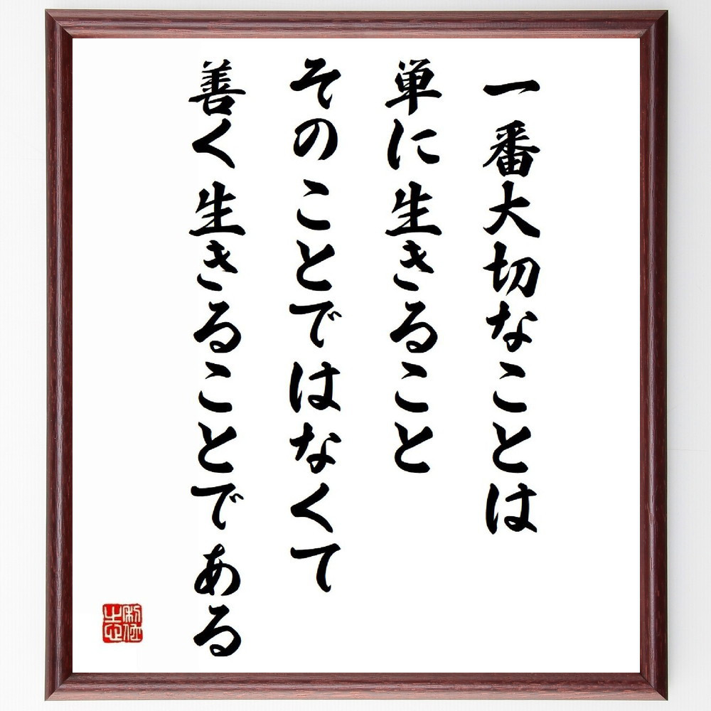 プラトンの名言「一番大切なことは単に生きることそのことではなくて、善～」手書き書道色紙額／受注後の毛筆直筆（Y5301）