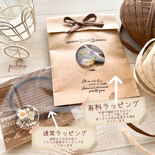 バイカラー【ヘアゴムorポニーフック】スターフラワー かすみ草 ドライ