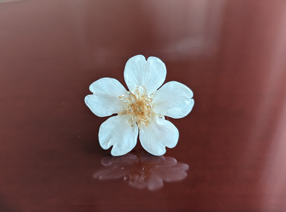 【K14GF】【受注制作】本物の桜　厳選したお花で仕上げたリング／指輪　ゴールドフィルド　野花の婚約指輪・プロポーズにも 13枚目の画像